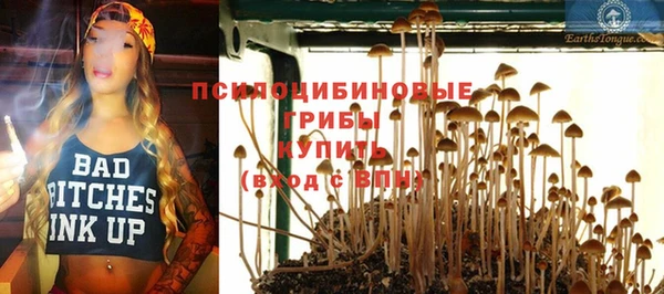 прущие крисы Алексин