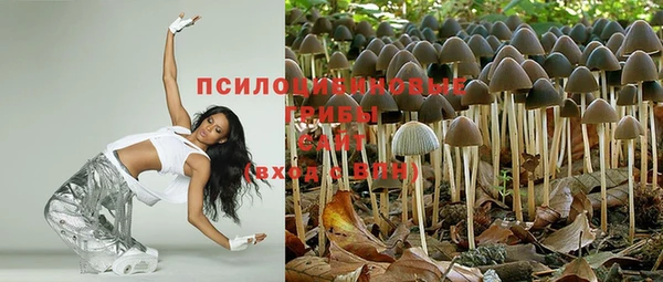 прущие крисы Алексин