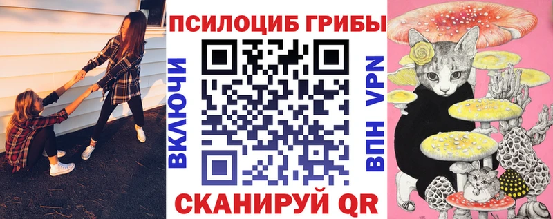 Псилоцибиновые грибы GOLDEN TEACHER Новая Ладога