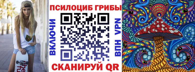 Псилоцибиновые грибы прущие грибы  магазин продажи наркотиков  Новая Ладога 